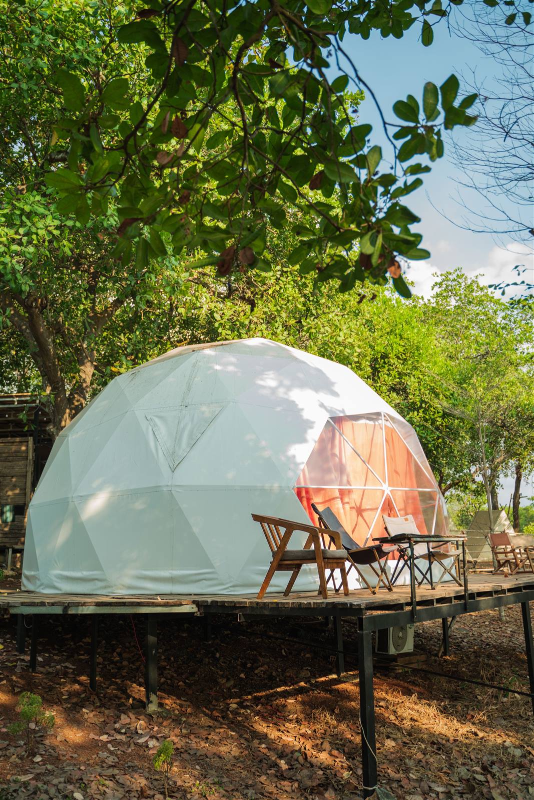 Glamping